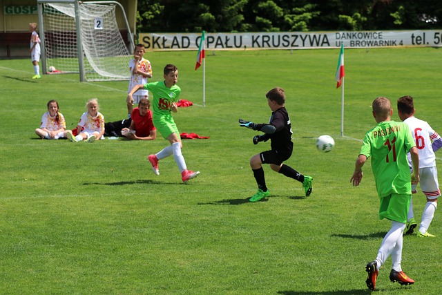 在努力争取 在努力争取