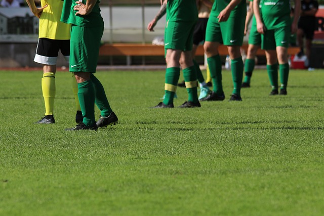 勇士队各个 勇士队各个