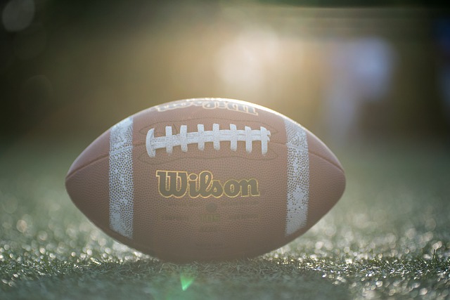 任俄罗斯队 任俄罗斯队