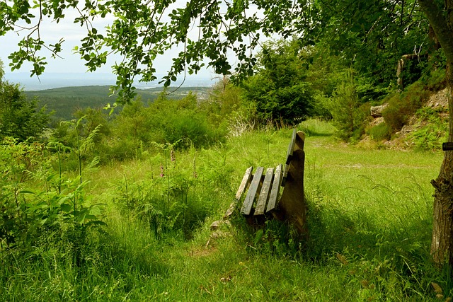 精准跑位后 精准跑位后