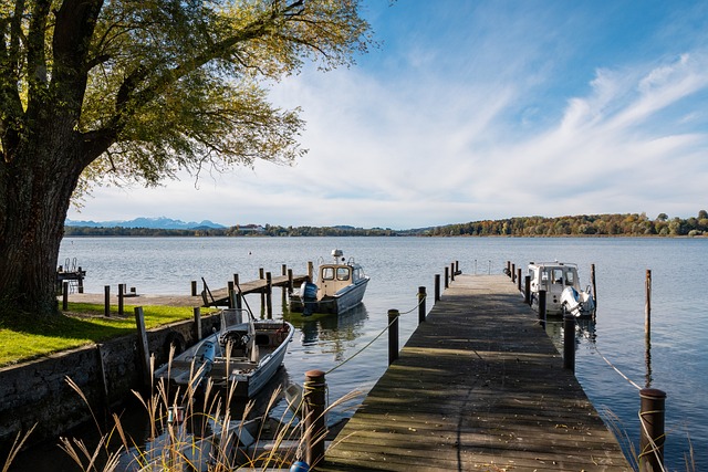 西部排名 西部排名