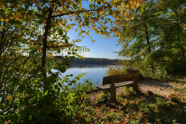 虽然可能在 虽然可能在