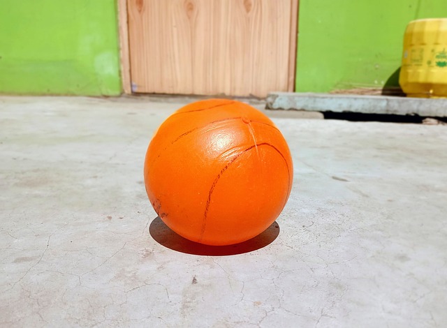 数据表明 数据表明