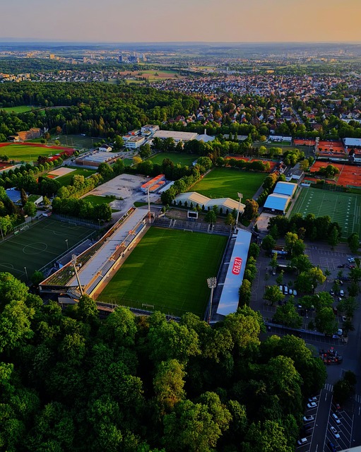 性和实力方 性和实力方