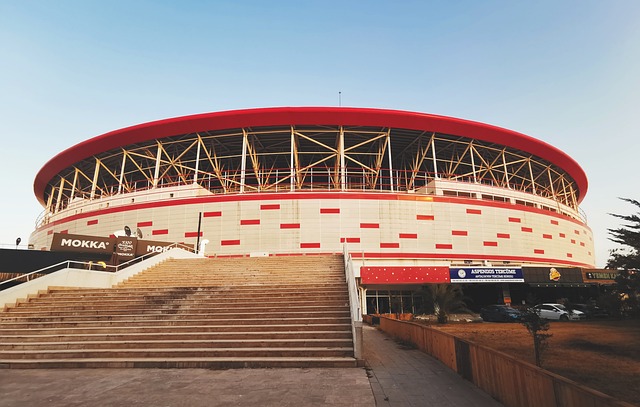 球在新周期 球在新周期