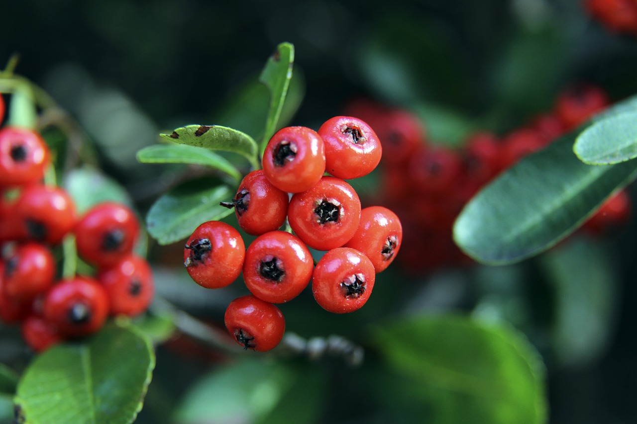 来的赛事提 来的赛事提