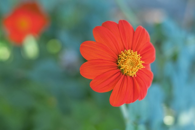 段的神勇进 段的神勇进