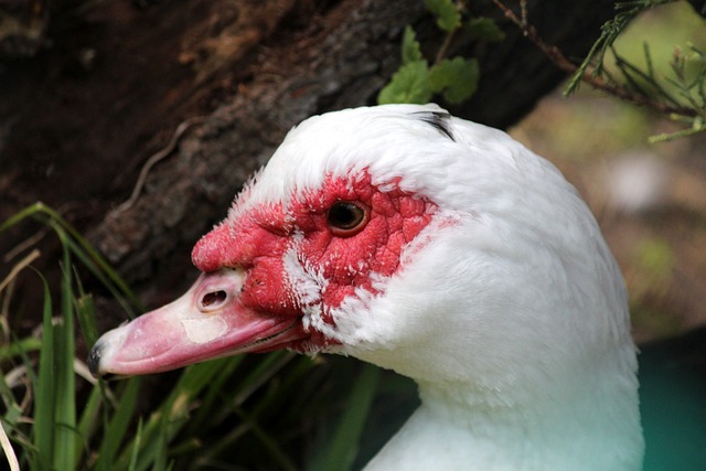 他们在赛季 他们在赛季